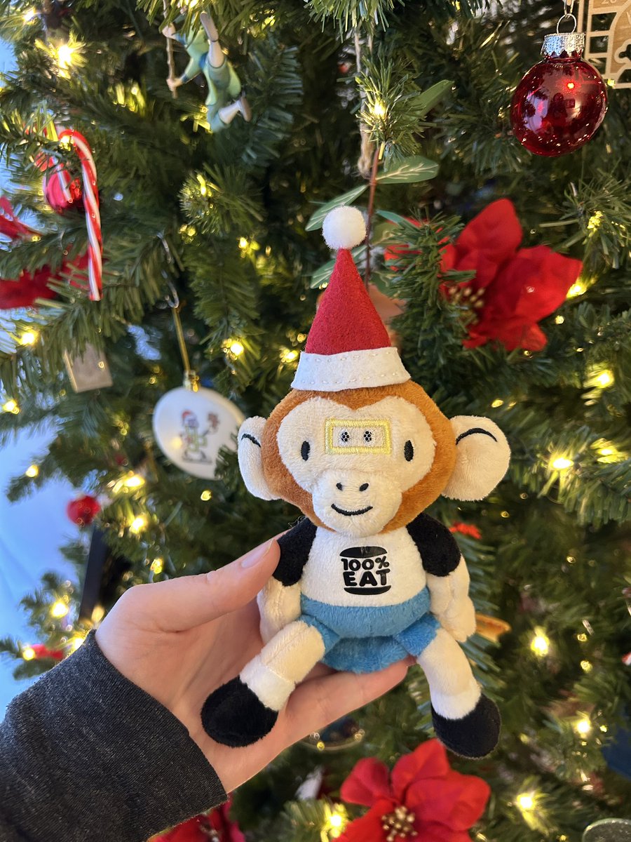 MadisonSnell_'s tweet photo. santa hats for the monkey gang 🎅🏻🎄
@100PercentEat https://t.co/9hJnSeVEXq
