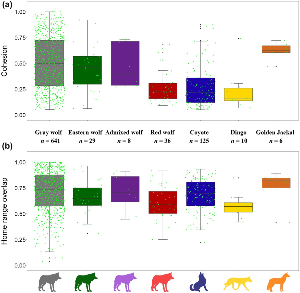 DanMacnulty's tweet image. New paper by John Benson et al. in @ESAEcology explores the drivers of group cohesion in social canids. Cohesion varies widely, shaped by life history, prey, group size, and humans. In wolves, it declines as pack size grows or human disturbance increases. doi.org/10.1002/ecy.44…
