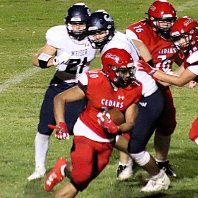 Kai_Rivera20's tweet photo. After a great visit and even better conversation with @CoachTreadJC I am proud to announce, I received an offer to play RB with them dawgs at @JuniataFootball .
🏈🐶🌲💪 

@Lebanoncedarfb @tpera75 @LebCoSports1

#AGTG #Homegrown #MambaMentality #Dawg #GoCedars #Unbreakable https://t.co/YOvhFxNRGN