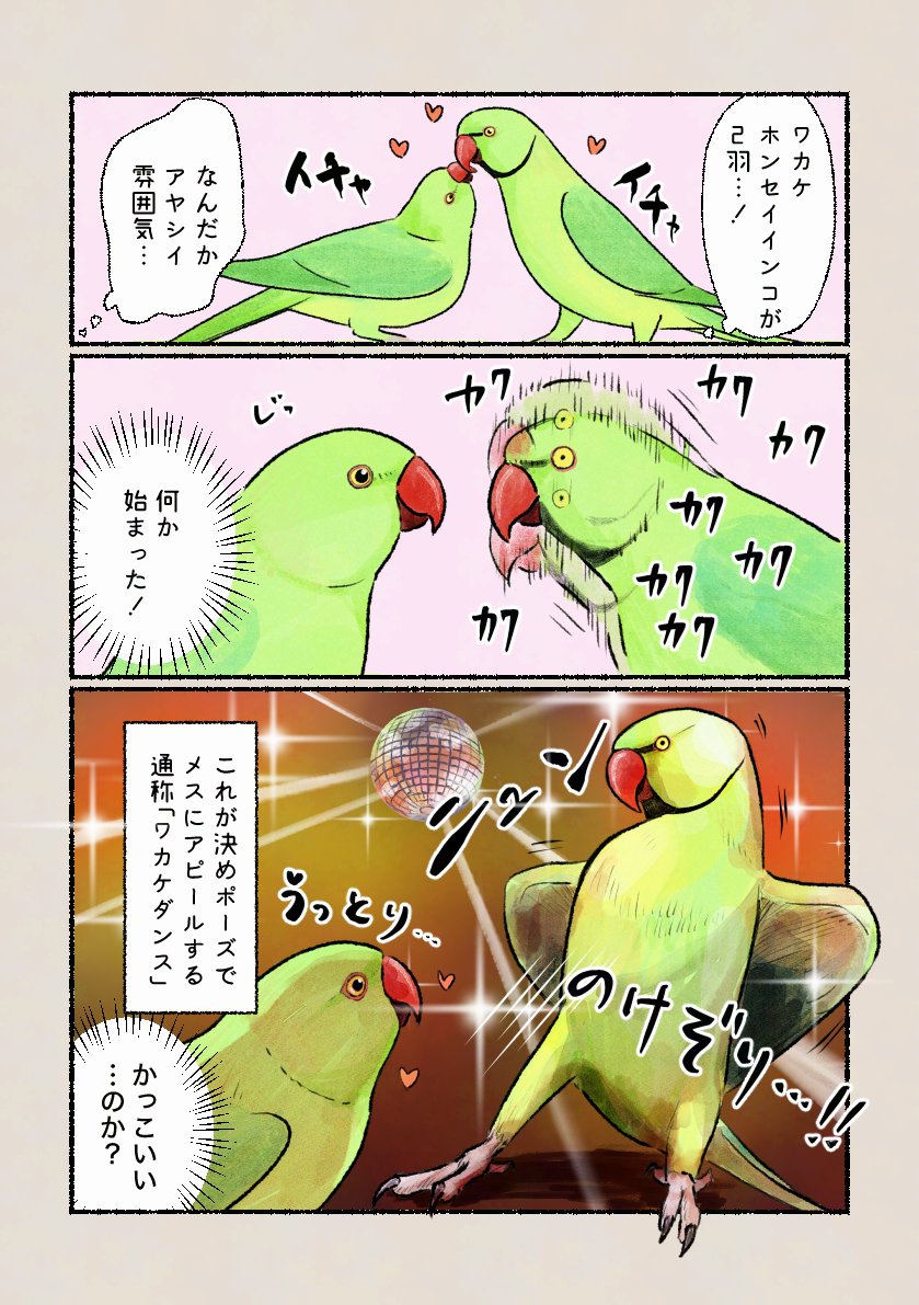 「魅惑のワカケダンス」
彼らの世界ではこのダンスがイケてるようです。 