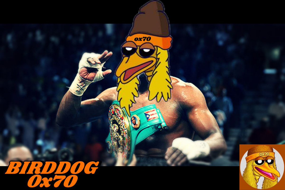 EthBirdDog's tweet photo. #BIRDDOG TRUST THE PROCESS!

#BIRDDOG #0X70 #ETH #BIRDDOG0X70 https://t.co/rcBZxtRN04