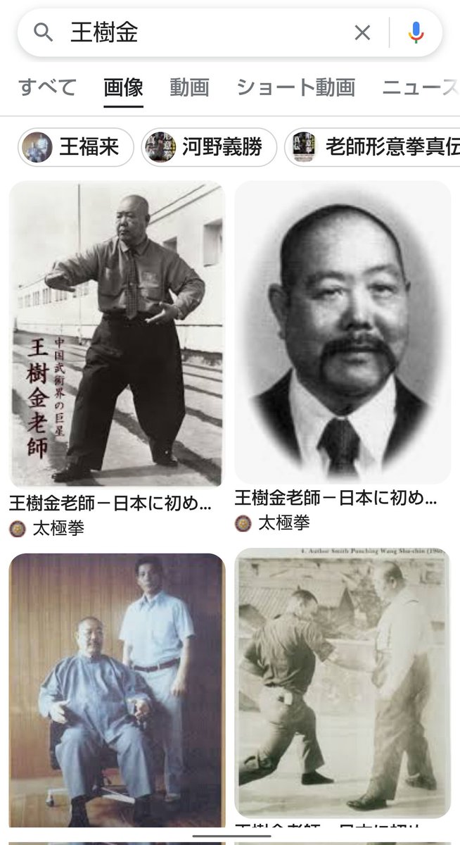 コメントで教えて貰ったんだけど、チンシンザンのモデルは日本に太極拳