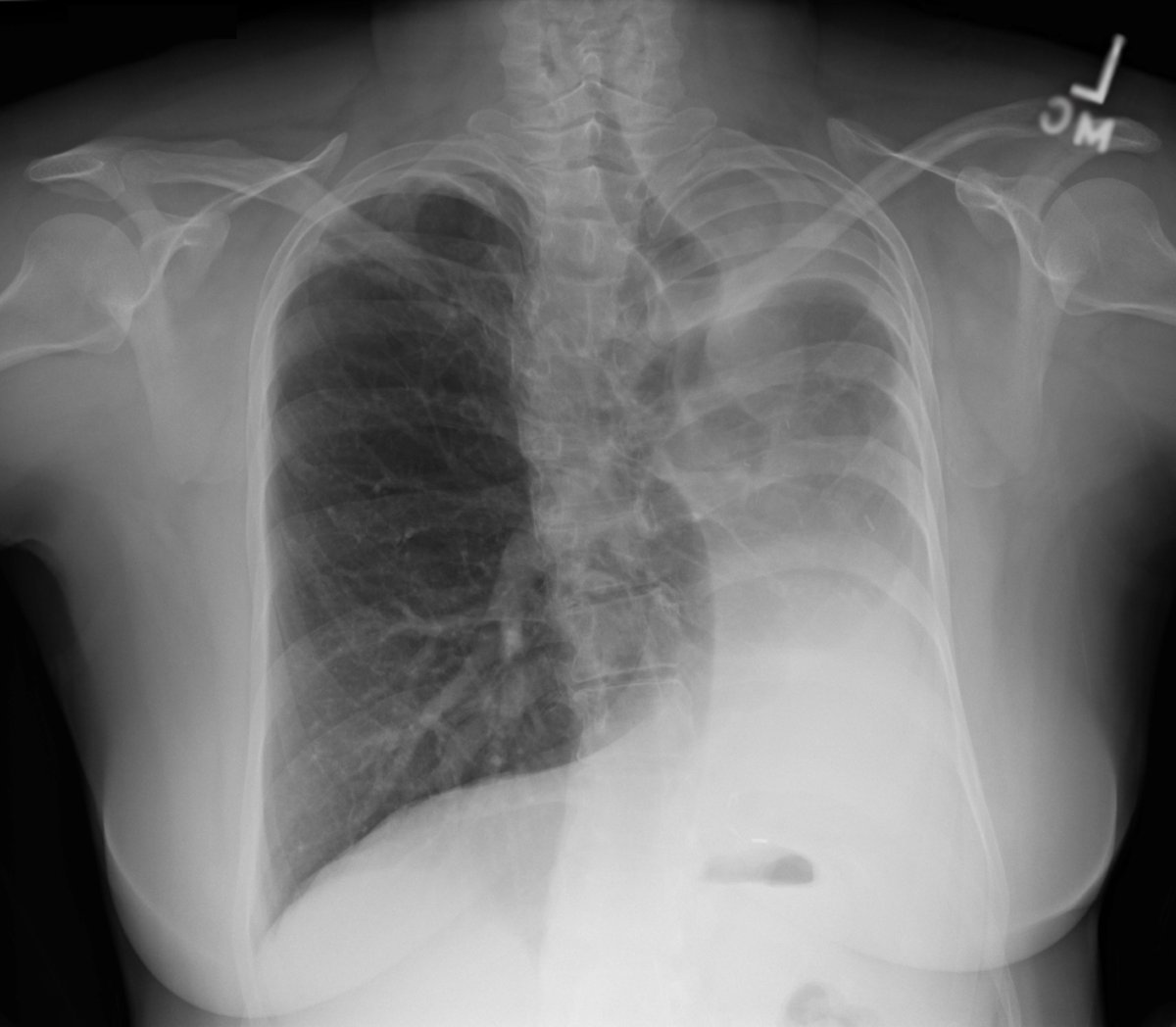 Sam Ghali, M.D. tweet media