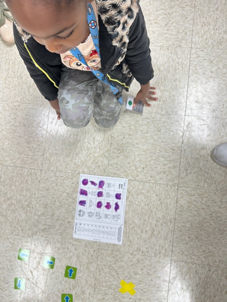 LabbHogg's tweet photo. Mrs. Penas kindergarten class coding with Beebots for Hour of Code
@HESLancaster
#CSatHoustonElem https://t.co/9uY97b6hXO