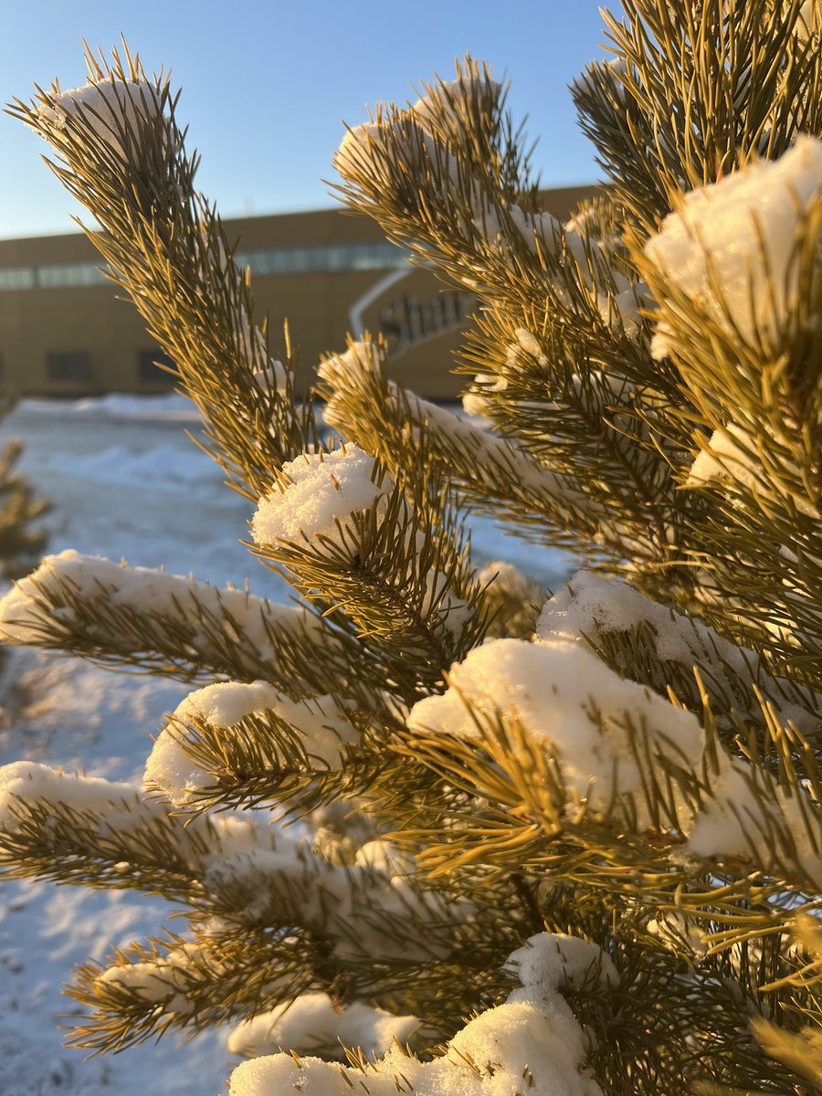 Өглөөний мэнд!