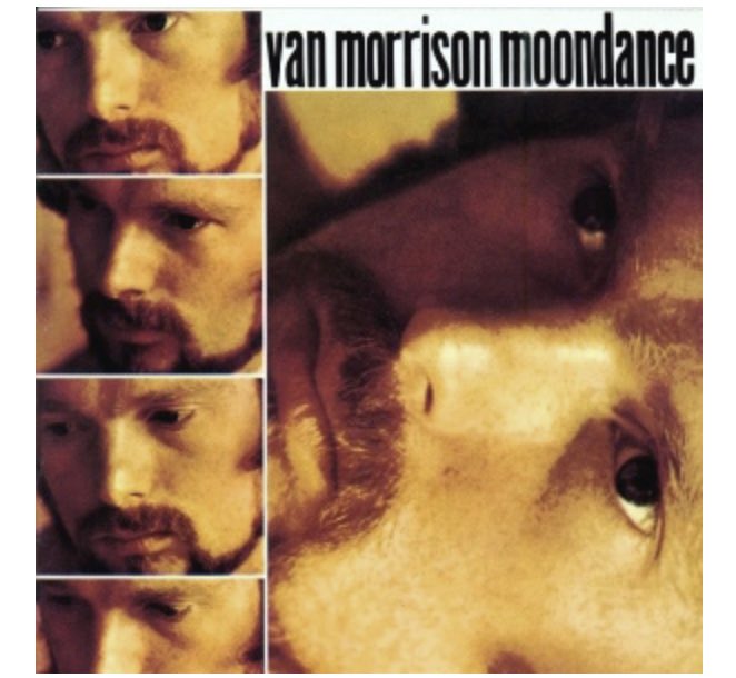 Ian McPhee tweet media