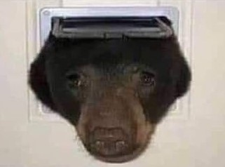 Kashima97's tweet image. #Archive #BlocNote