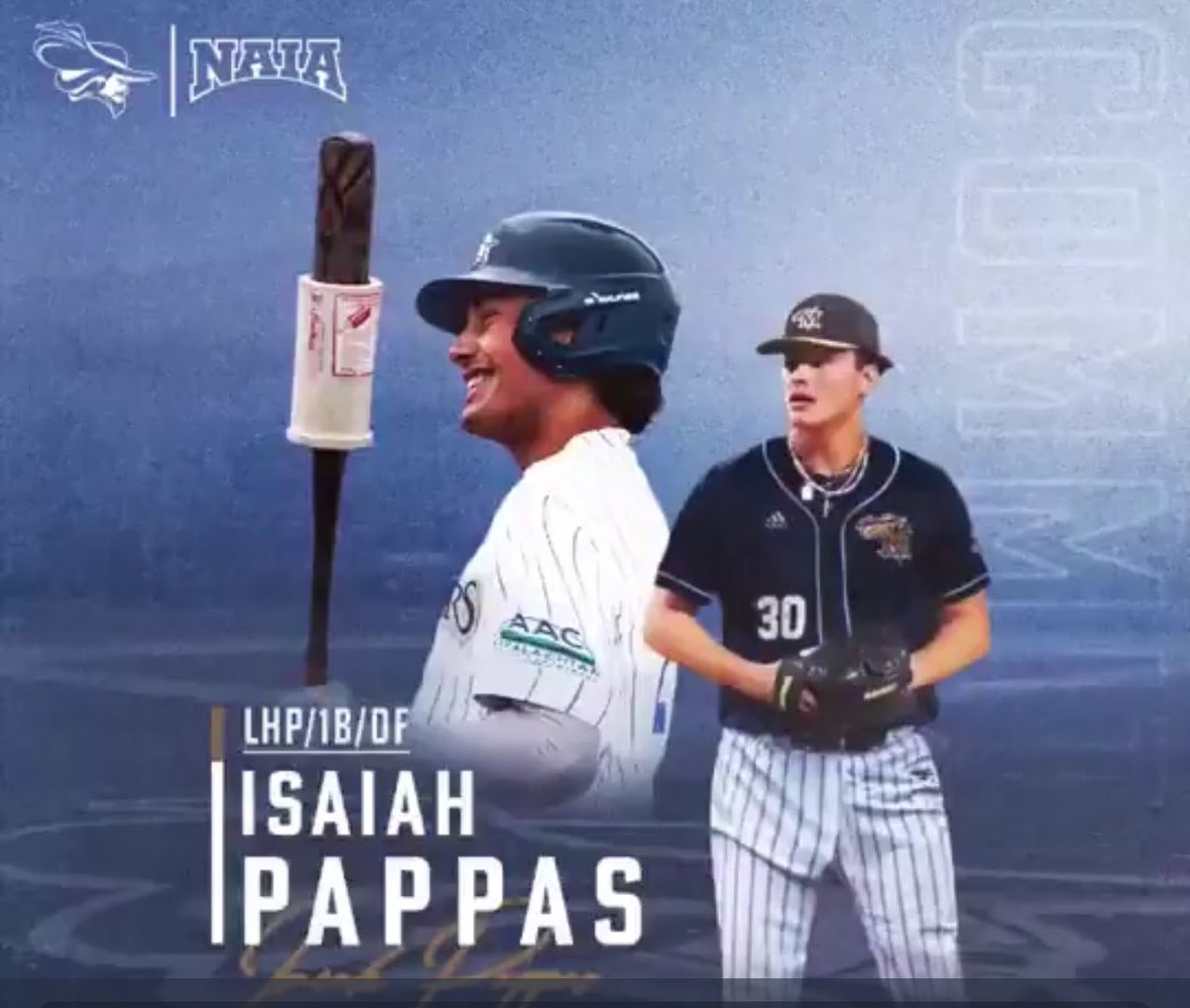 Smoky Bear Baseball tweet media