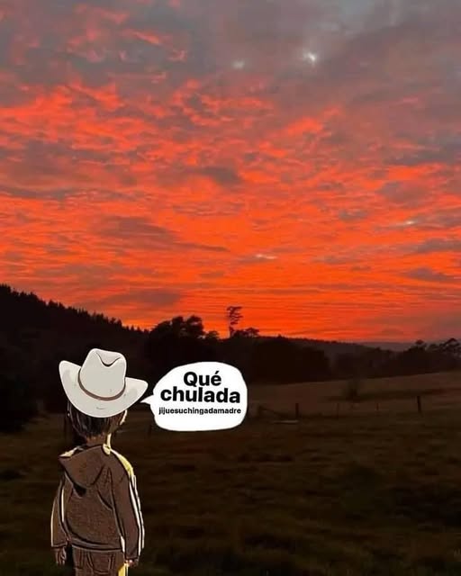 Enséñame de Ciencia tweet media