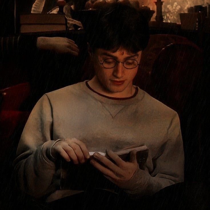 ‍‍ ‍‍𝗁𝖺𝗋𝗋𝗒 𝗉𝗈𝗍𝗍𝖾𝗋. tweet media