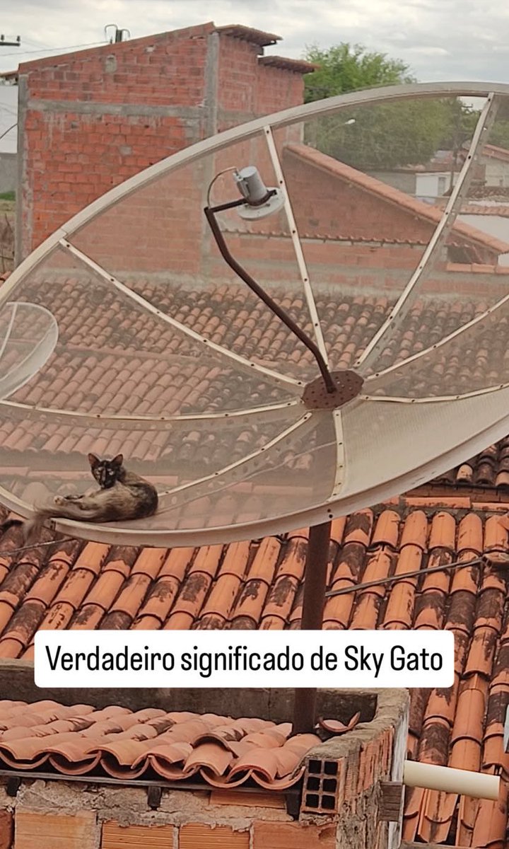 italocrfla's tweet image. Primeiramente é boa noite! 🤣🤣🤣🤣
Segundamente: