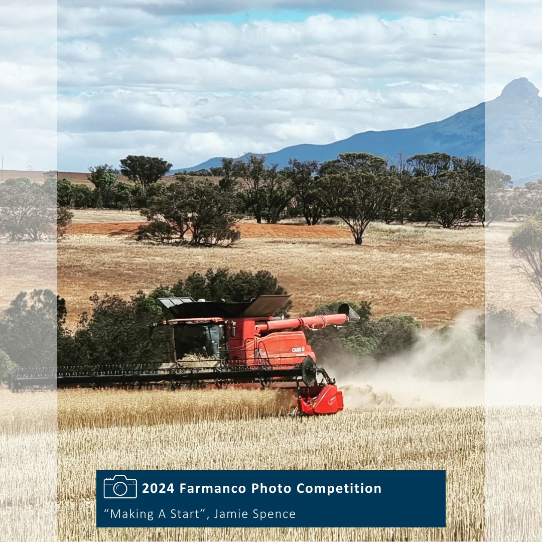 With harvest upon us, it's time to showcase some of our favourite harvest related photos from the 2024 Farmanco Photo Competition! 🌾

📸 "Making A Start", J.Spence