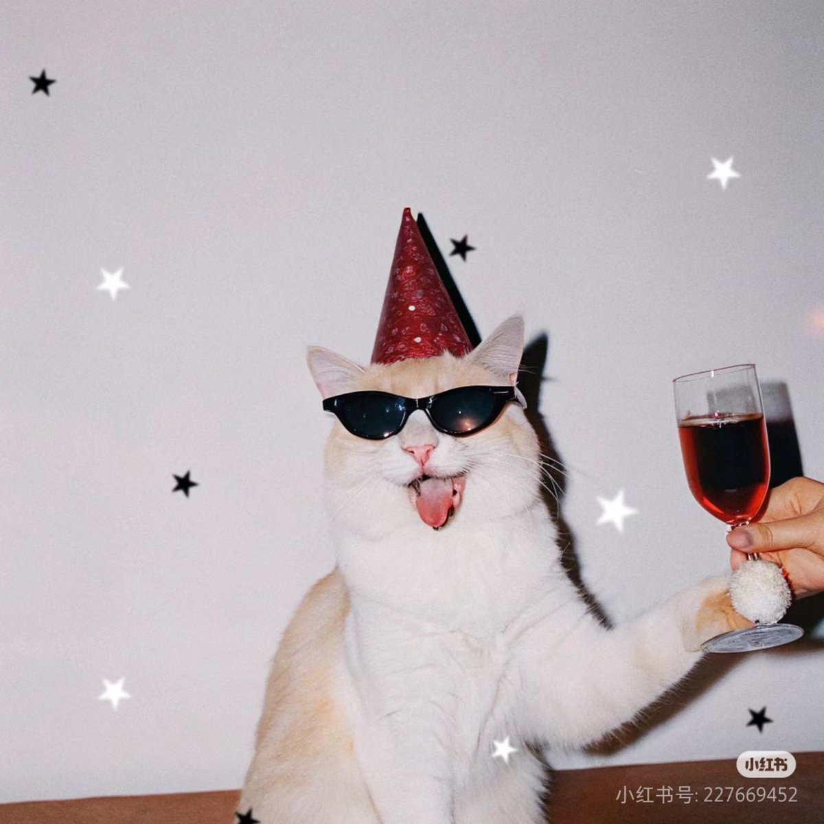 ชลน แมวส้มแท้ๆ 🐱 tweet media