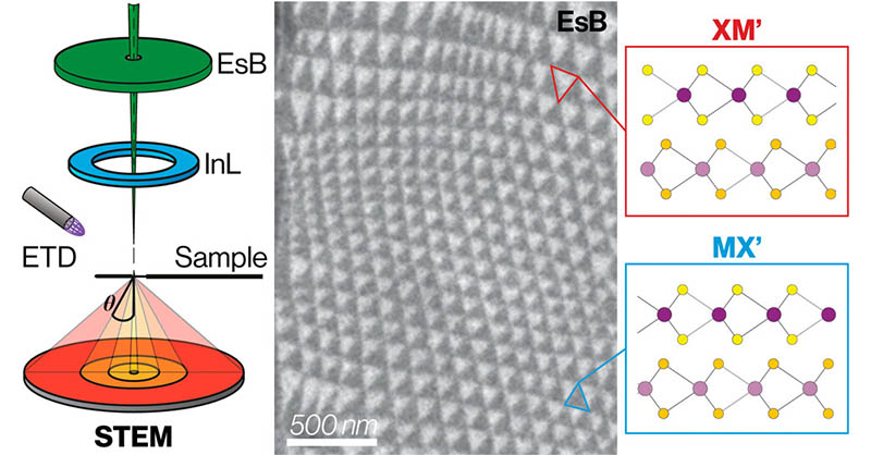 ACS Nano (@acsnano) on Twitter photo Demonstration of SEM electron channeling contrast imaging (ECCI) method as a practical solution for #imaging the twist domains in transition metal #dichalcogenide #heterostructures. <a href="/sarahhaigh_mcr/">Sarah Haigh</a> <a href="/UoMPhysics/">UoM Physics & Astronomy</a> <a href="/OfficialUoM/">The University of Manchester</a> <a href="/UoMGraphene/">The University of Manchester Graphene</a>
#OpenAccess: go.acs.org/bWC Demonstration of SEM electron channeling contrast imaging (ECCI) method as a practical solution for #imaging the twist domains in transition metal #dichalcogenide #heterostructures. <a href="/sarahhaigh_mcr/">Sarah Haigh</a> <a href="/UoMPhysics/">UoM Physics & Astronomy</a> <a href="/OfficialUoM/">The University of Manchester</a> <a href="/UoMGraphene/">The University of Manchester Graphene</a>
#OpenAccess: go.acs.org/bWC