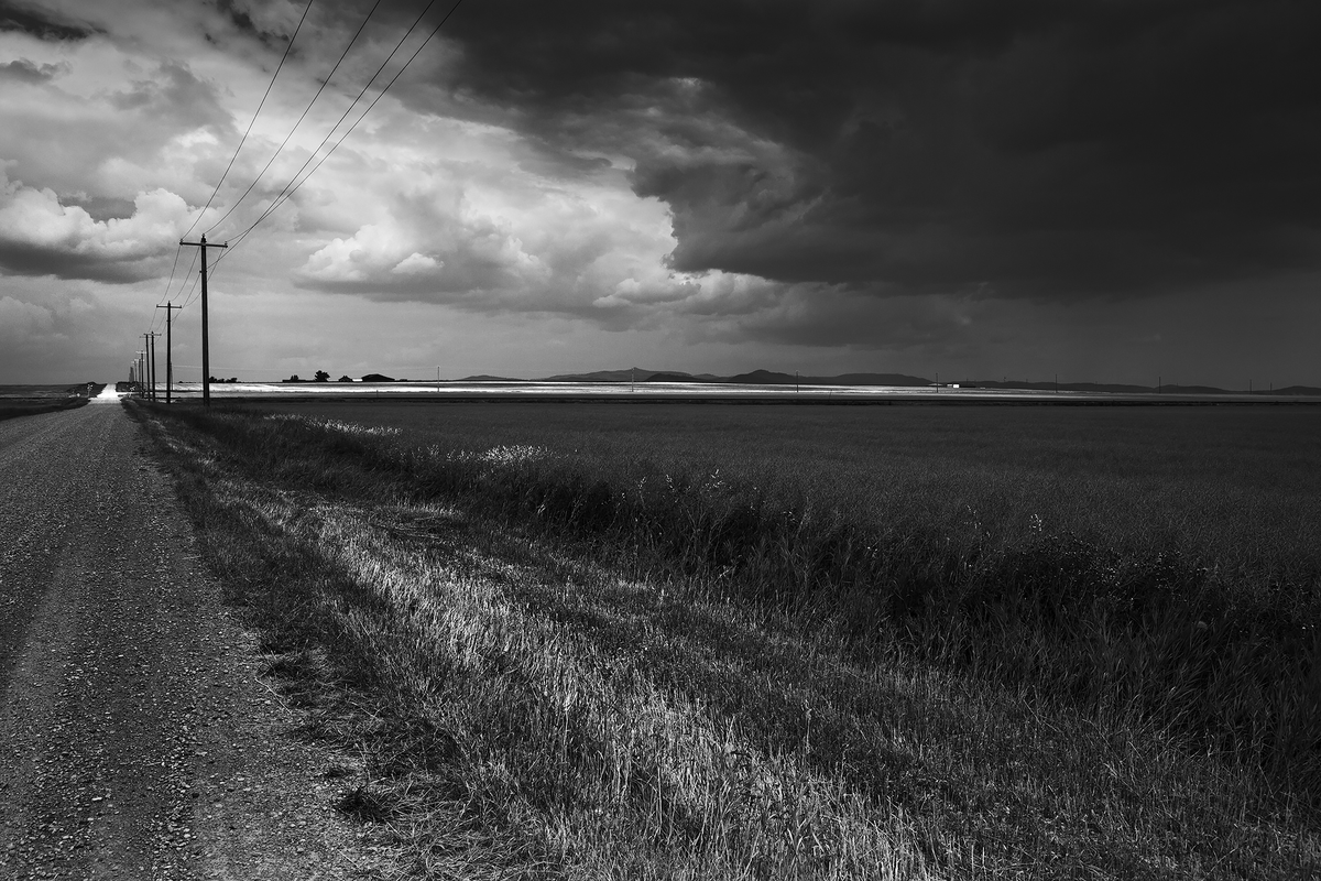 Adrian O'Brien tweet media