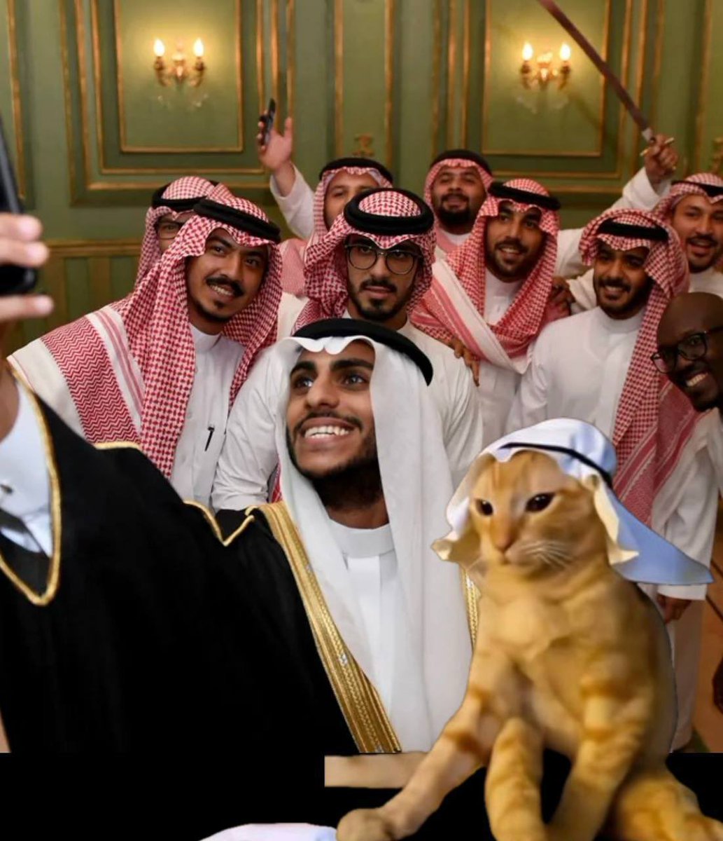 arab cat tweet media