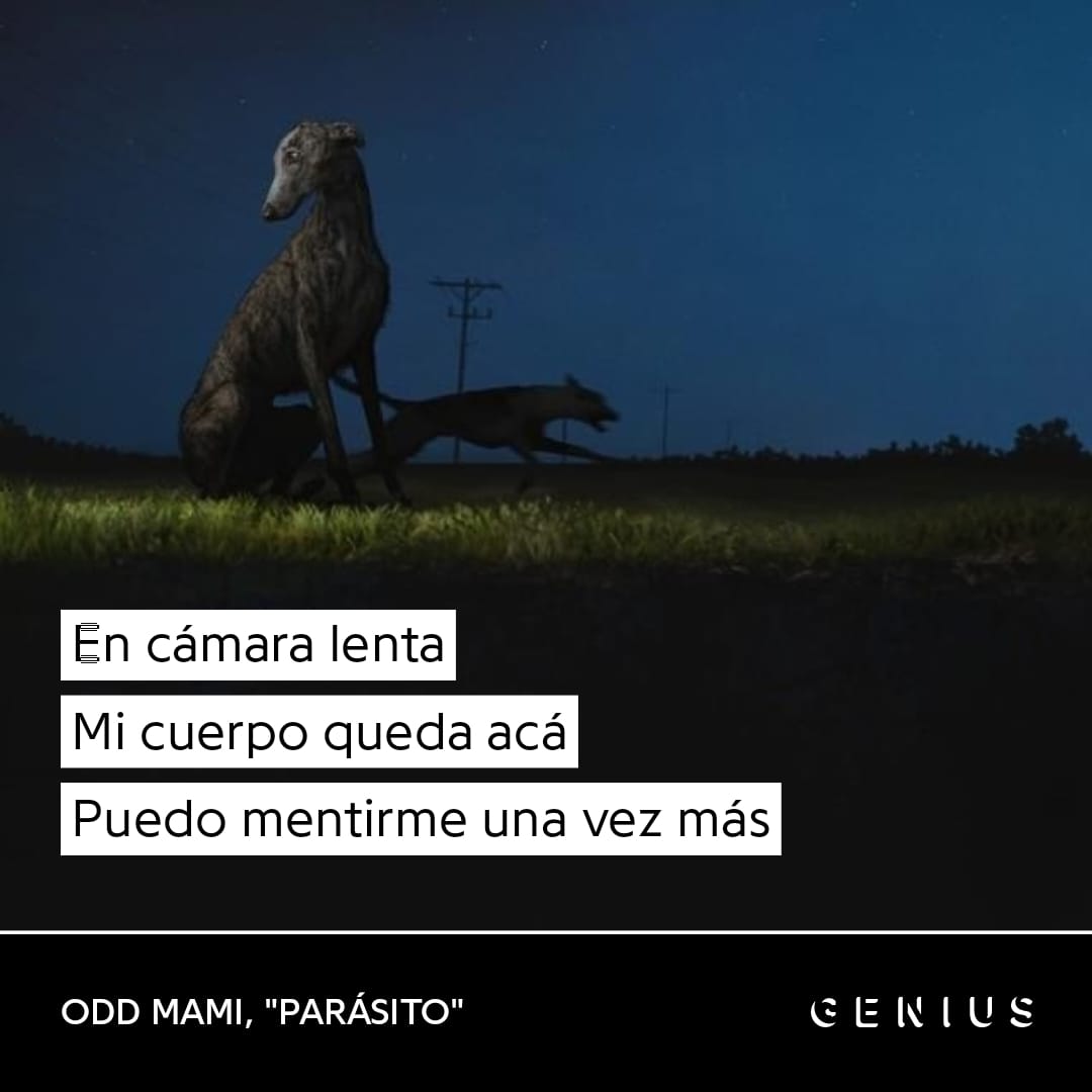 oddmamibot's tweet photo. https://t.co/vn2FWs4vzD