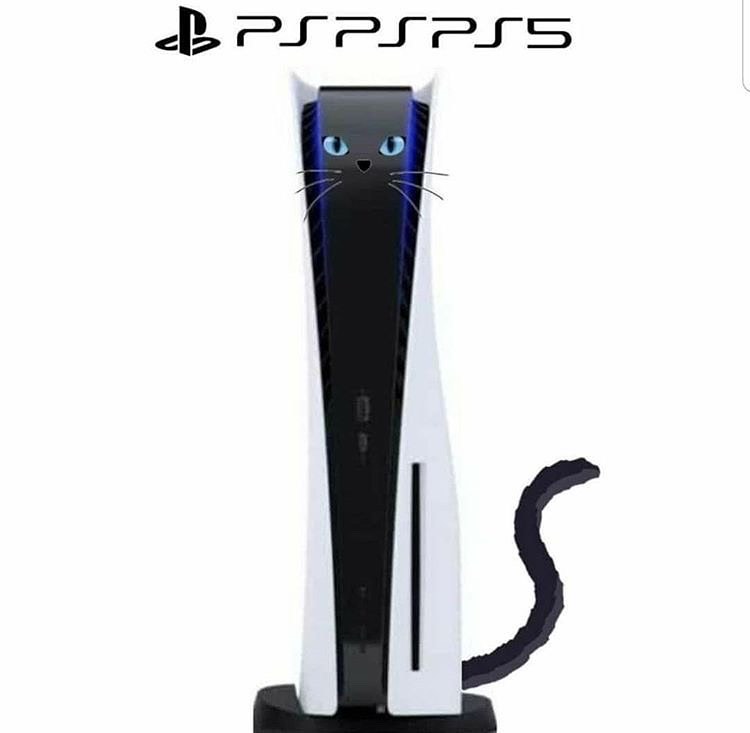 PunchingCat's tweet image. 