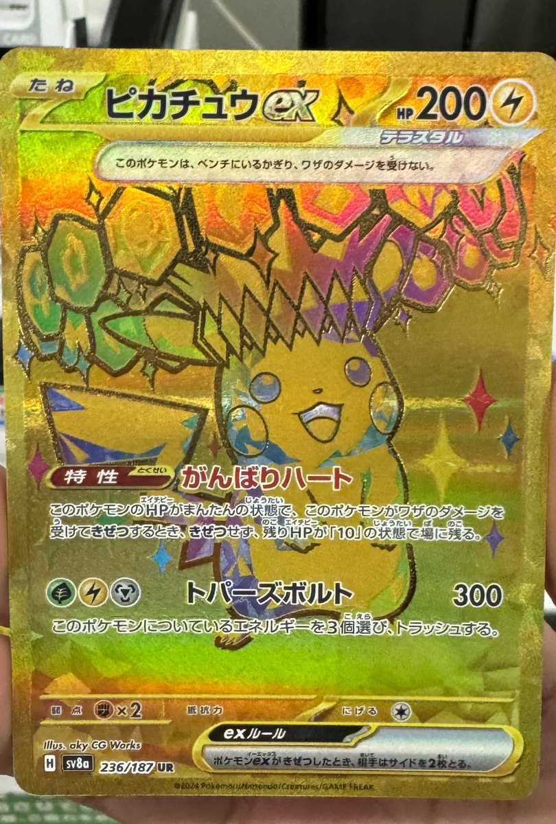 今月のポケカ収支
投資3300
回収8500