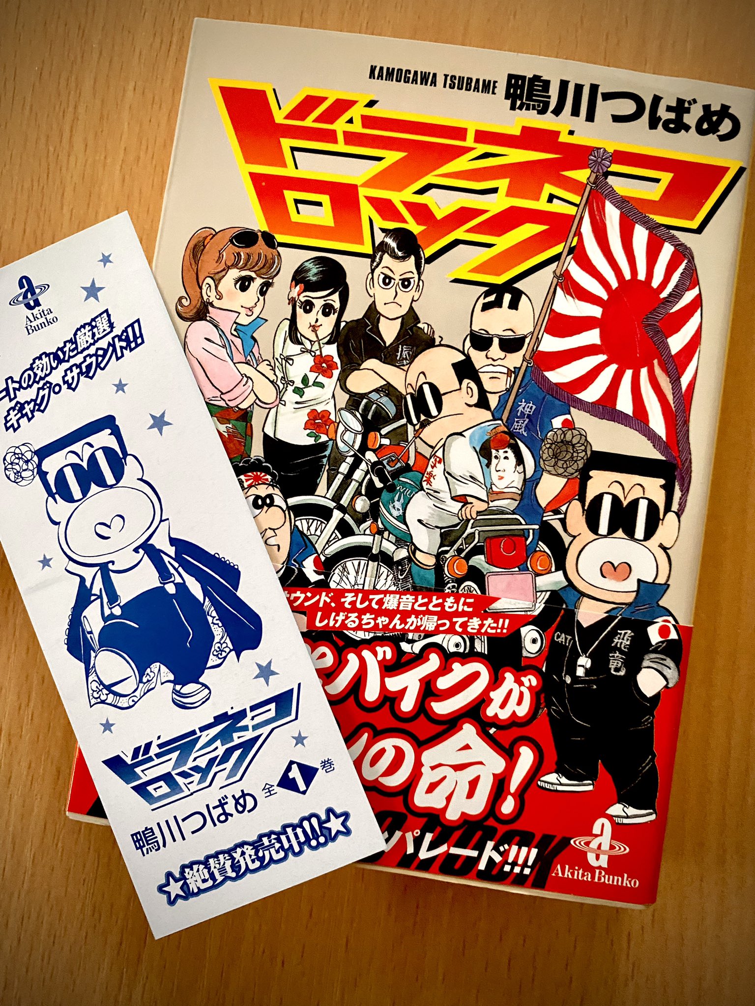 鴨川つばめ ドラネコロック 全3巻 希少初版２冊 少年チャンピオン ギャグ 鴨川つばめ ドラネコロック 全3巻 希少初版2冊 少年