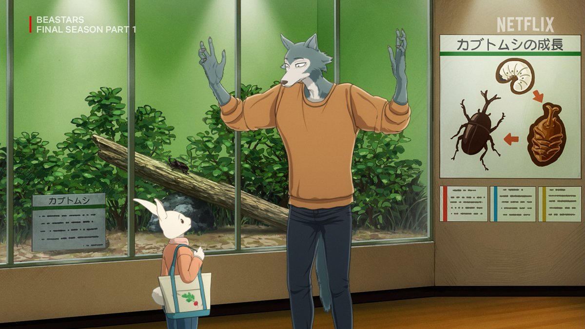 Netflix Anime tweet media