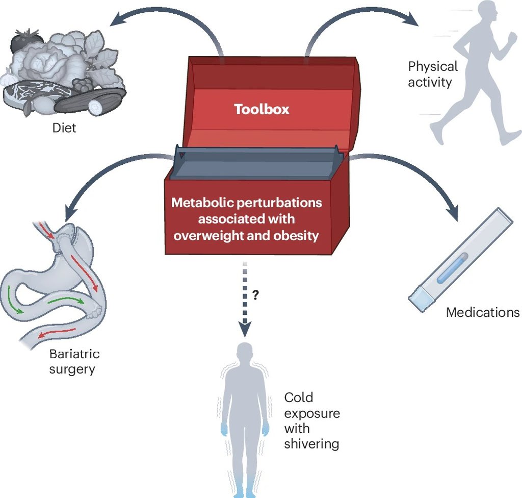 Anirban Maitra (@aiims1742) on Twitter photo Forget about GLP-1R agonists.
Time to move to Boston.
New data in <a href="/NatMetabolism/">Nature Metabolism</a> shows that 1 hour of cold exposure with shivering for 10 consecutive days improves glucose tolerance and other metabolic health outcomes in humans with overweight or obesity. Forget about GLP-1R agonists.
Time to move to Boston.
New data in <a href="/NatMetabolism/">Nature Metabolism</a> shows that 1 hour of cold exposure with shivering for 10 consecutive days improves glucose tolerance and other metabolic health outcomes in humans with overweight or obesity.