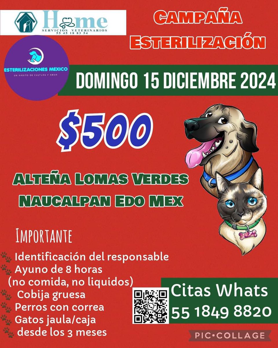 Marina Vera (@marinavera100) on Twitter photo Este domingo 15 es nuestra campaña de esterilización en la colonia del valle y Lomas verdes. Cada esterilización salva miles de vidas, no los dejes. Un minuto de tu tiempo en difundir esterilización esencial #gracias <a href="/Serch09403150/">Serch</a> <a href="/Checosandia/">Checo Sandía</a> <a href="/CECILLIA36/">CECILIA MENDEZ</a> <a href="/MascotasSismo/">Mascotas Sismo</a> ♥️🐾🐶🐈⬛ Este domingo 15 es nuestra campaña de esterilización en la colonia del valle y Lomas verdes. Cada esterilización salva miles de vidas, no los dejes. Un minuto de tu tiempo en difundir esterilización esencial #gracias <a href="/Serch09403150/">Serch</a> <a href="/Checosandia/">Checo Sandía</a> <a href="/CECILLIA36/">CECILIA MENDEZ</a> <a href="/MascotasSismo/">Mascotas Sismo</a> ♥️🐾🐶🐈⬛