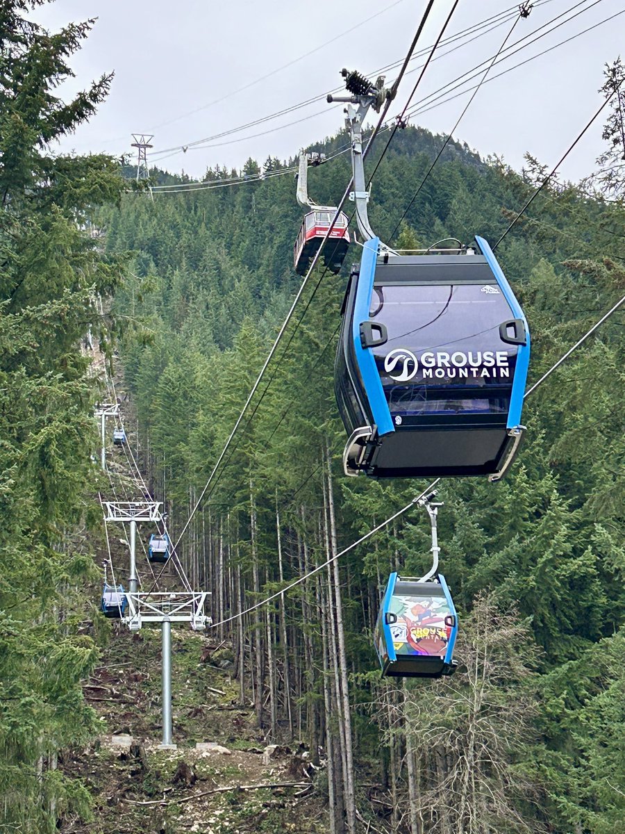 NV Chamber tweet media