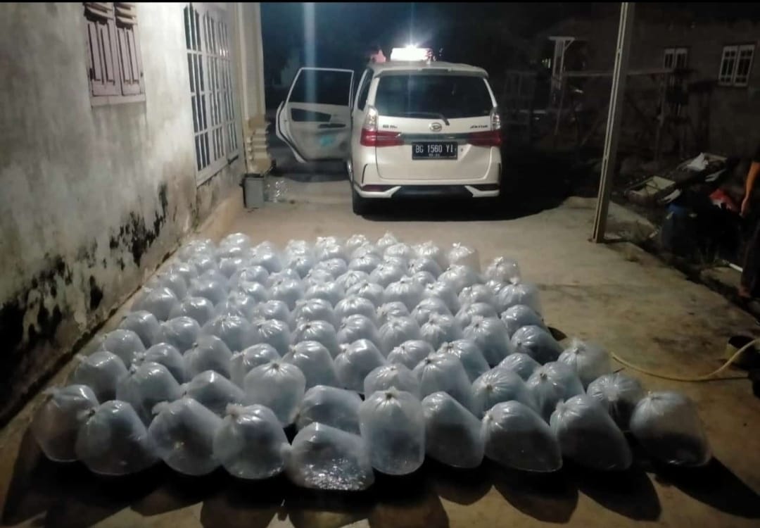 Desuneti1's tweet photo. Selasa (12/11/2024), Panen Benih Patin 40.000 benih uk. 1,5-2,5 inch kg harga Rp. 175,- pada POKDAKAN MIna Karya Desa Tugu Mulyo Kec. Belitang Madang Raya OKU Timur Panen #GiatLuhkanSatminkalBRPPUPP #BPPSDMKP #panen #luhlapor #luhkan_OKUTimur https://t.co/durTvPjSUS