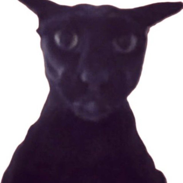 Scariest_CTO's tweet photo. Telegram: https://t.co/Osv4p6d6FO

Ca 

ADQeyKAWoLDVnE6Vajnwp9h7wVdzNFosPqQvmEB3pump

X: https://t.co/C0KxtUeYQR https://t.co/p2nbhihQgU