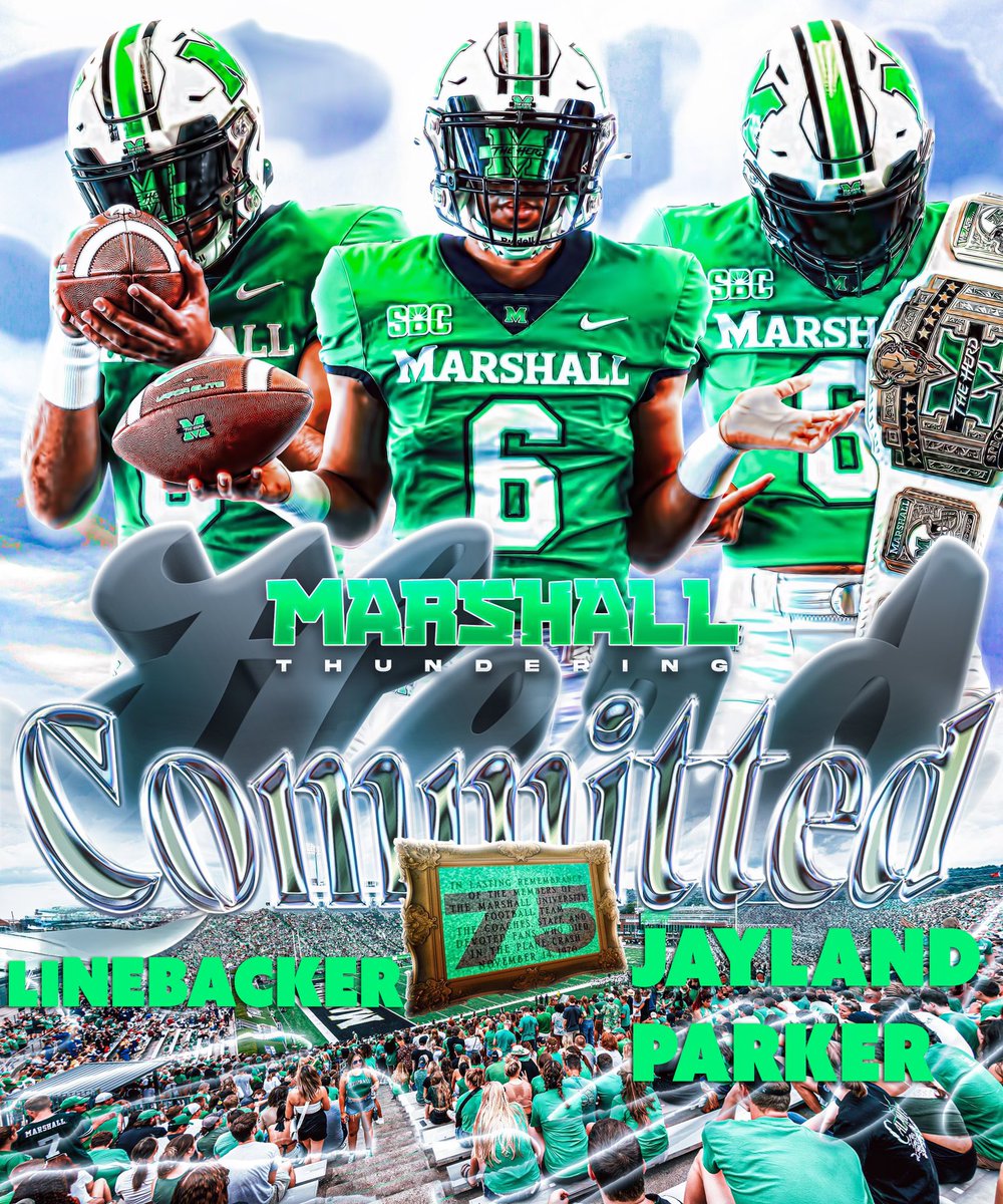 Committed 🦬#Goherd