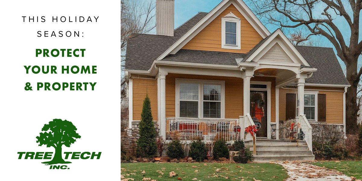 TreeTechInc tweet picture