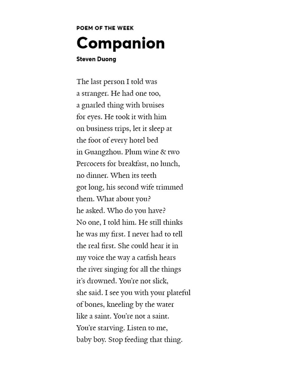 steven duong tweet media