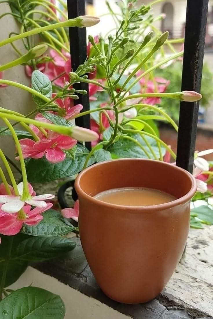 आप हीं मुलाक़ात की हिम्मत नहीं रखते है...

 हम तो हर वक़्त चाय तैयार रखते हैं...❤️
#सुप्रभात 🙏