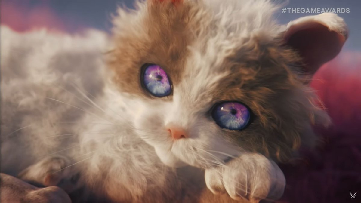 denfaminicogame's tweet photo. 猫MMO『Catly』発表
https://t.co/tMEi2KPBYW

人間と猫が究極の絆をつむぐ、魅惑の夢世界を描く。Steamストアページもオープン
#TheGameAwards https://t.co/EIMgaNgow4