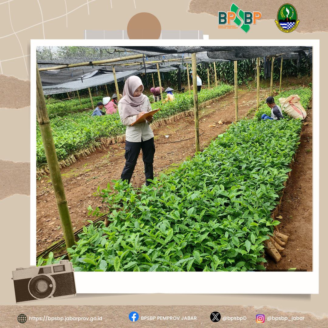 Sampurasun  #wargibun🌱

🍃🌱 Sertifikasi Benih Teh Klon Gambung 7 di Kabupaten Purwakarta 🌱🍃

BPSBP melaksanakan sertifikasi benih teh klon Gambung 7 di Darangdan, Kabupaten Purwakarta. 

@gandjar_yudniarsa  
<a href="/humas_jabar/">Inspirasi Jawa Barat</a> @bppdisbun @balaibenihbun1_jabar <a href="/disbunjabar/">Disbun Jabar</a>