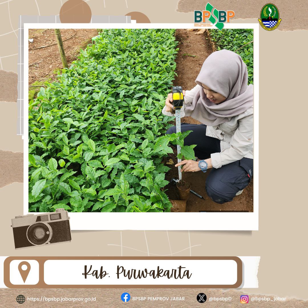 BPSBP.DisbunJabar tweet media