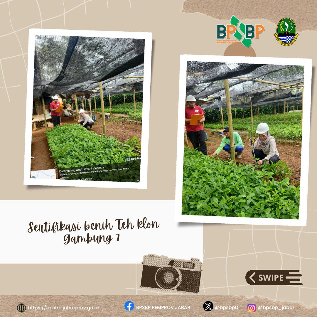 BPSBP.DisbunJabar tweet media