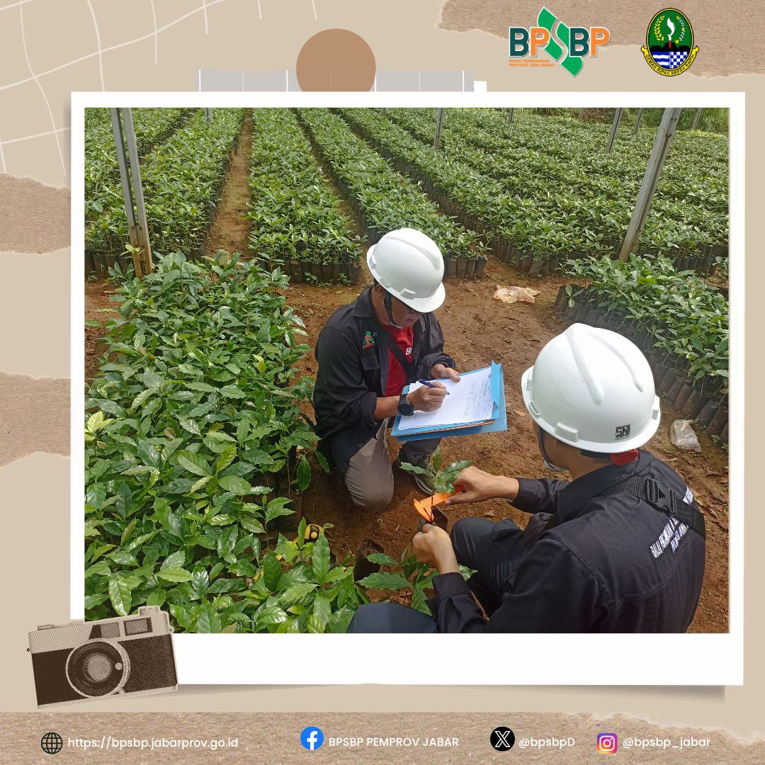 Sampurasun  #wargibun🌱

☕️🌱 Sertifikasi Benih Kopi Arabika Lini S795 di Kabupaten Sukabumi 🌱☕️

BPSBP melaksanakan sertifikasi benih kopi Arabika varietas Lini S795 milik CV. Cipta Surya Gemilang di Kabupaten Sukabumi. 

🌍✨

@gandjar_yudniarsa  
<a href="/humas_jabar/">Inspirasi Jawa Barat</a> @bppdisbun