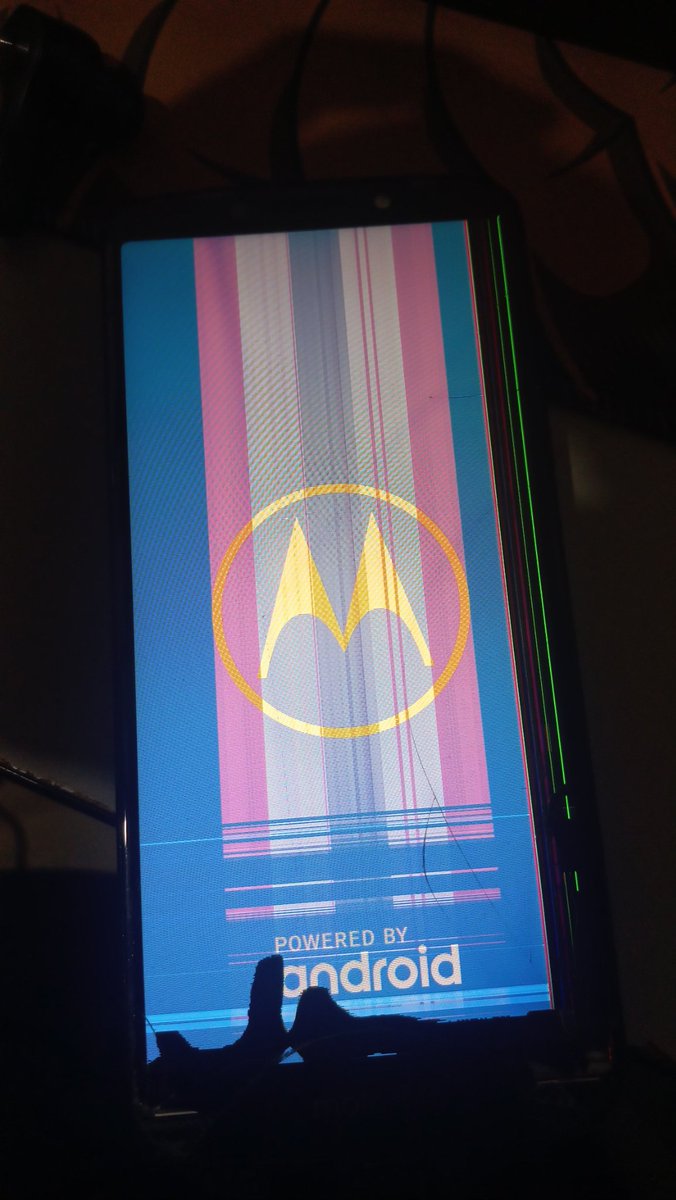 PedrinSla! tweet media