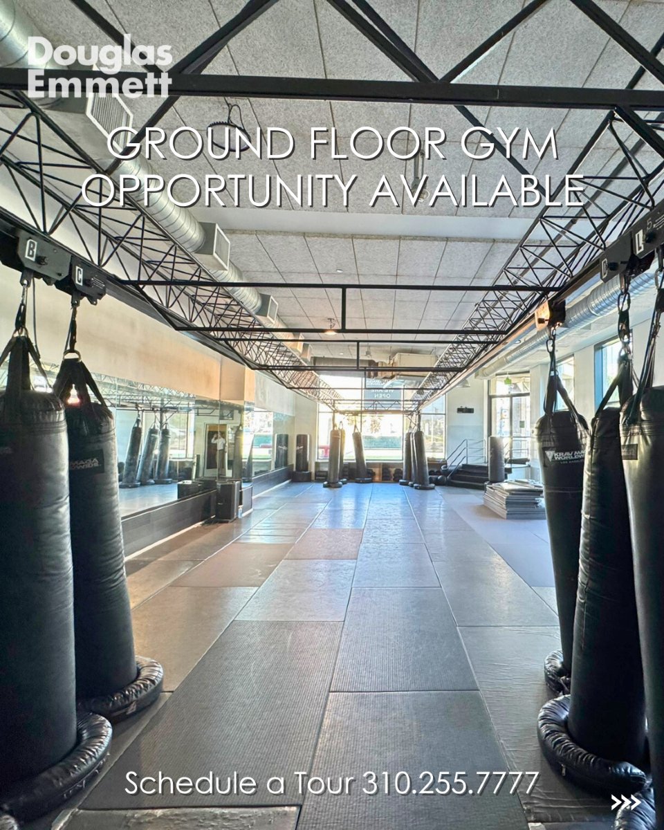 DouglasEmmett's tweet photo. Ready to elevate your fitness business? These prime gym spaces are available for lease! With high ceilings, ample natural light, and top-notch studio space, they are the perfect spaces to grow your brand. #DouglasEmmett #GymSpace https://t.co/l551LBU5NY