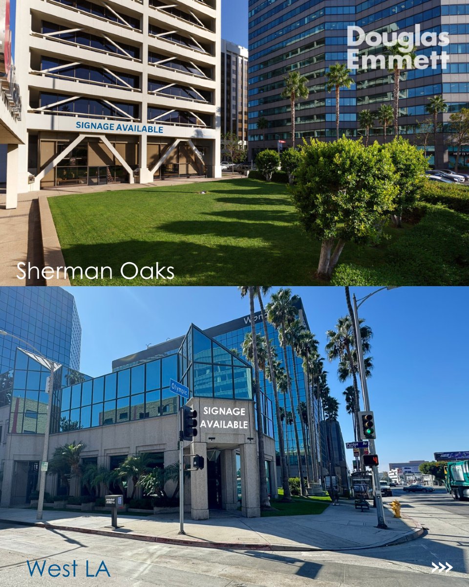 DouglasEmmett's tweet photo. Ready to elevate your fitness business? These prime gym spaces are available for lease! With high ceilings, ample natural light, and top-notch studio space, they are the perfect spaces to grow your brand. #DouglasEmmett #GymSpace https://t.co/l551LBU5NY