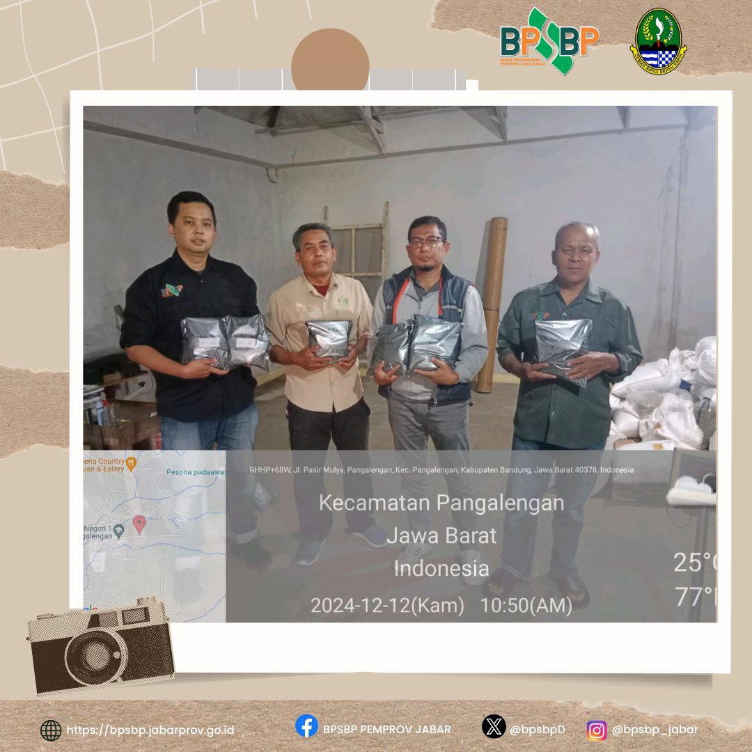 Sampurasun  #wargibun🌱

☕️🔬 Pengambilan Sampel Benih Kopi Arabika Varietas Sigarar Utang di Kabupaten Bandung 🔬☕️

BPSBP melakukan pengambilan sampel benih kopi Arabika varietas Sigarar Utang milik H. Supriatnadinuri di Pangalengan, Kabupaten Bandung.