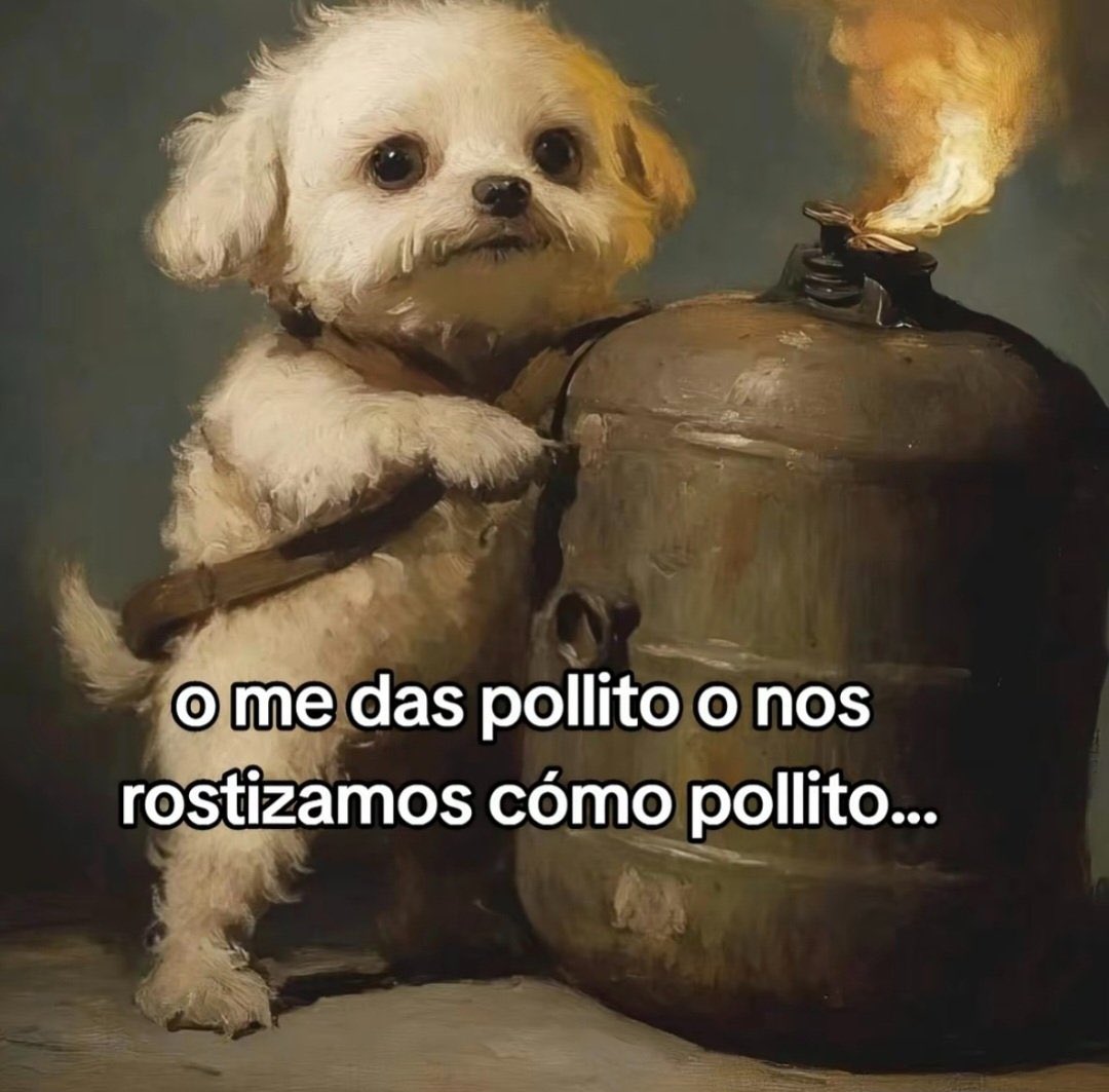 cositalore's tweet photo. El único terrorismo que apoyó….

#Jueves https://t.co/ImYFYos2xt