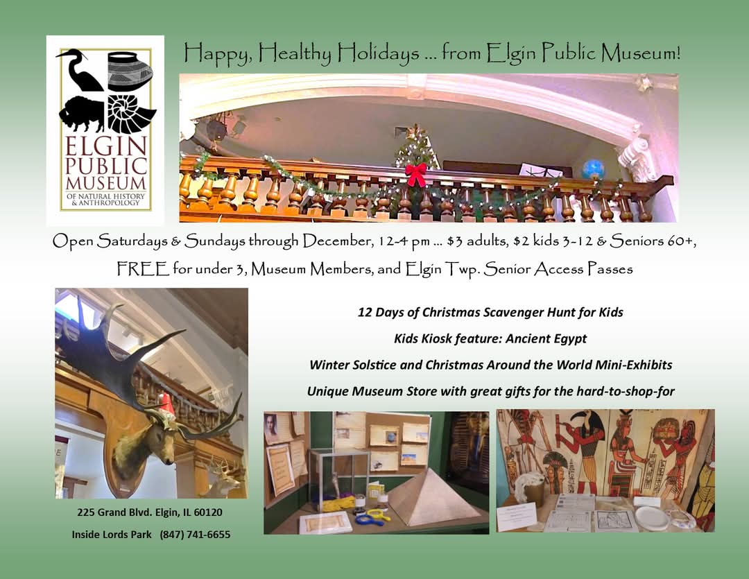 From all of us at Elgin Public Museum (yes, including Fallon the Extinct Giant Irish Deer), have a wonderful, peaceful, and healthy holiday season! Don't forget, we are open to the public on the weekends!