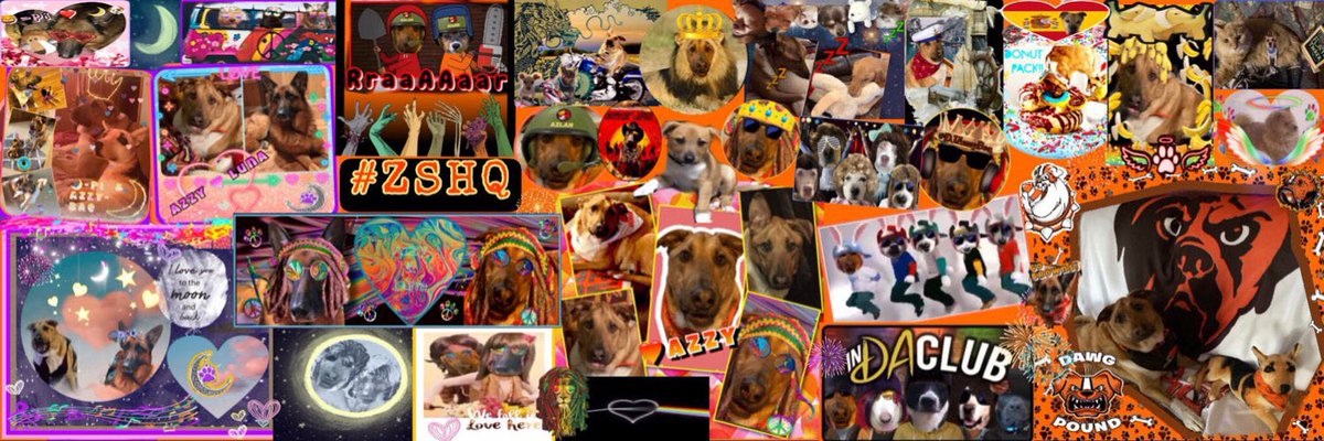 Thank you all so much for the outpouring of love, hugs, prayers, memories n more. Azzy left us in good paws and hands. I’m beyond grateful we have these amazing moments to remind us of those we love that we’ve lost. 
Being a part of this community is a gift &amp; Beautiful Blessing🧡