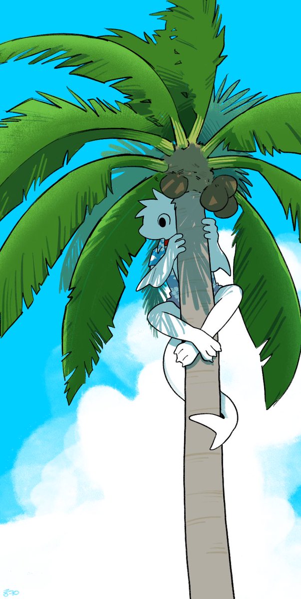 yewonlee1999's tweet photo. coconut shark https://t.co/y3AHg2dojE