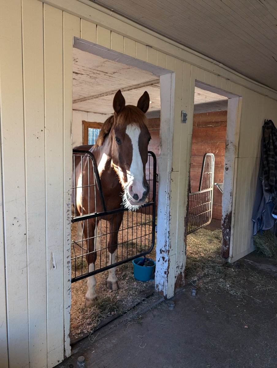 Brigid Johnson tweet media