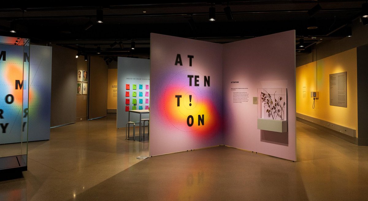 A huge thank you to the brilliant minds 🧠🧠 at <a href="/WuTsaiYale/">Wu Tsai Institute | Yale University</a> and <a href="/yalepeabody/">Yale Peabody Museum</a> for allowing me to contribute to the exhibition 'MIND/MATTER: THE NEUROSCIENCE OF PERCEPTION, ATTENTION, AND MEMORY', running through late 2025.

peabody.yale.edu/news/mind-matt…
yaledailynews.com/blog/2024/12/0…