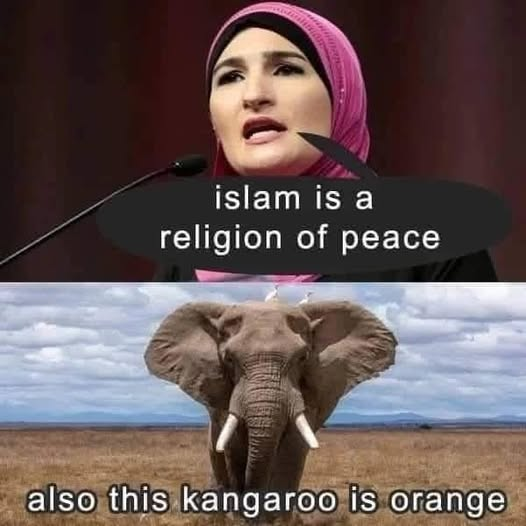 Imtiaz Mahmood (@imtiazmadmood) on Twitter photo 